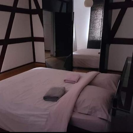 Spacious Appartement Colmar 2 Zewnętrze zdjęcie