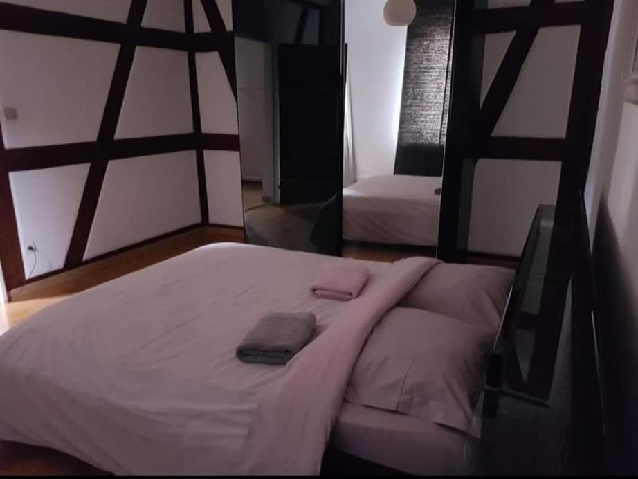 Spacious Appartement Colmar 2 Zewnętrze zdjęcie